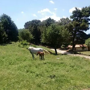 Bosco Pianetti , Santuario di Gibilmanna Italia